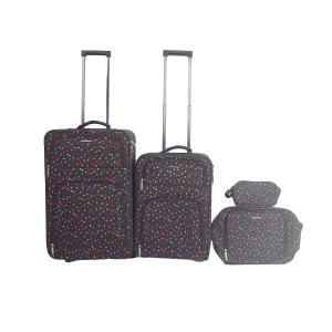 Printed 2pcs luggage and 2pcs bag one set